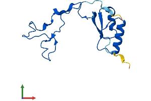 AlphaFold protein structure predicition of Mouse Recombinant Rpl32-ps Protein, UniprotID P17932 (RPL32-PS Protein (AA 1-135) (His tag))