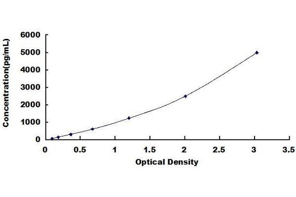 Bcl-2 ELISA Kit