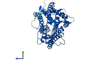 AlphaFold protein structure predicition of Human Recombinant TM7SF2 Protein, UniprotID O76062 (TM7SF2 Protein (AA 1-418) (His tag))