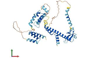 AlphaFold protein structure predicition of Mouse Recombinant Dnajb12 Protein, UniprotID Q9QYI4