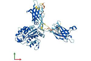 AlphaFold protein structure predicition of Human Recombinant CPNE6 Protein, UniprotID O95741 (CPNE6 Protein (AA 1-557) (His tag))
