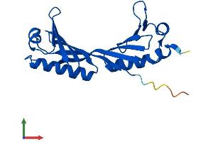 AlphaFold protein structure predicition of Mouse Recombinant Tbpl1 Protein, UniprotID P62340 (TBPL1 Protein (AA 1-186) (His tag))