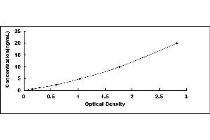 Typical standard curve (CYP2C19 ELISA Kit)