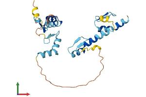 AlphaFold protein structure predicition of Human Recombinant ZMAT4 Protein, UniprotID Q9H898