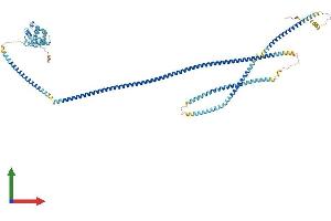 AlphaFold protein structure predicition of Mouse Recombinant Hook1 Protein, UniprotID Q8BIL5