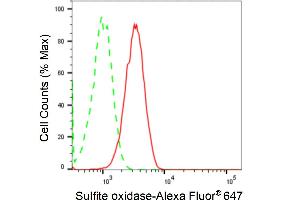 Flow cytometric analysis of Sulfite oxidase expression in HT- cells using Sulfite oxidase antibody (ABIN7800456), 1:2,000). (Recombinant SUOX antibody)