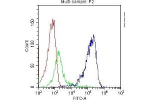 Flow Cytometry analysis of PBMC cells using anti-TAPA1 antibody . (CD81 antibody  (AA 113-201))