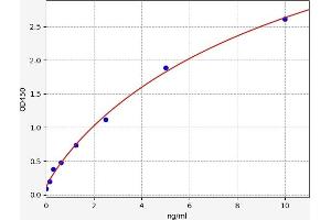 MTX3 ELISA Kit