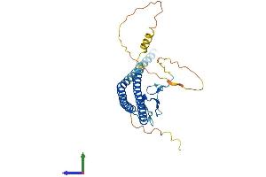 Protein Structure (PS) image for Inhibitor of Growth Family, Member 2 (ING2) (AA 1-280) protein (His tag) (ABIN7548516)