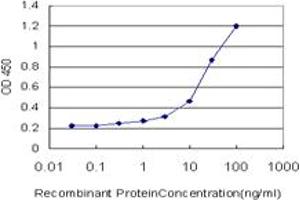 Detection limit for recombinant GST tagged ANXA3 is approximately 1ng/ml as a capture antibody. (Annexin A3 antibody  (AA 1-323))