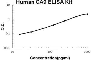 Human CA9 PicoKine ELISA Kit standard curve (CA9 ELISA Kit)