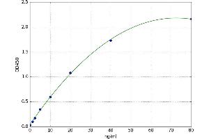 Glycoprotein V (Platelet) (GP5) ELISA Kit