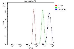 Flow Cytometry analysis of U251 cells using anti-HP1 alpha/CBX5 antibody (ABIN7599057). (CBX5 antibody  (AA 1-191))