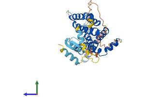 AlphaFold protein structure predicition of Human Recombinant RHBDD1 Protein, UniprotID Q8TEB9