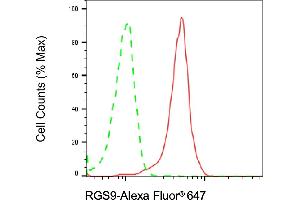 Flow cytometric analysis of RGS9 expression in SH-SY5Y cells using RGS9 antibody (ABIN7800165), 1:2,000).