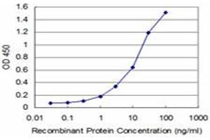 Detection limit for recombinant GST tagged AGT is approximately 1ng/ml as a capture antibody. (AGT antibody  (AA 376-485))