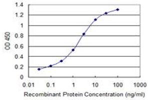 Detection limit for recombinant GST tagged FXC1 is 0. (TIMM10B antibody  (AA 11-103))