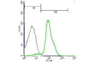 Mouse thymocytes probed with Rabbit Anti-Frizzled 6 Polyclonal Antibody, Unconjugated (ABIN1713791) (green) at 1:100 for 40 minutes followed by a FITC conjugated secondary compared to control cells (blue). (FZD6 antibody  (AA 11-110))