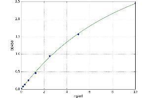 Protocadherin gamma Subfamily A, 2 (PCDHGA2) ELISA Kit