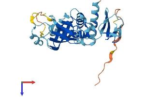 AlphaFold protein structure predicition of Human Recombinant EXOSC2 Protein, UniprotID Q13868 (EXOSC2 Protein (AA 1-293) (His tag))
