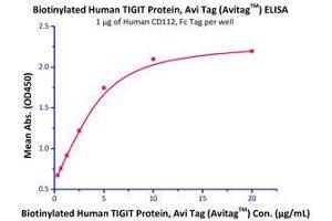 Binding Studies (Bind) image for Poliovirus Receptor-Related 2 (Herpesvirus Entry Mediator B) (PVRL2) (AA 32-360) (Active) protein (Fc Tag) (ABIN4949134)
