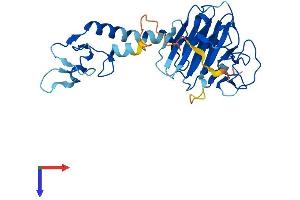 Ret Finger Protein-Like 3 (RFPL3) (AA 1-317) protein (His tag)