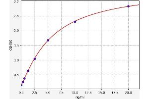 HMGB3 ELISA Kit