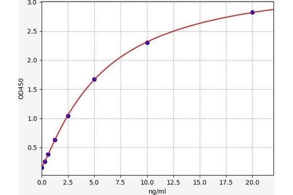 HMGB3 ELISA Kit