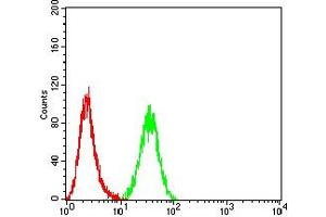 Flow cytometric analysis of Hela cells using RRM1 mouse mAb (green) and negative control (red).