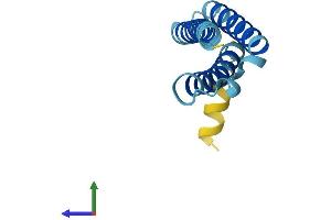 AlphaFold protein structure predicition of Human Recombinant TMEM262 Protein, UniprotID E9PQX1 (rCG48429-Like Protein (LOC100365733) (AA 1-116) (His tag))