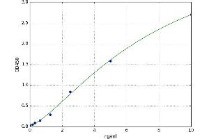 A typical standard curve (PRPSAP1 ELISA Kit)