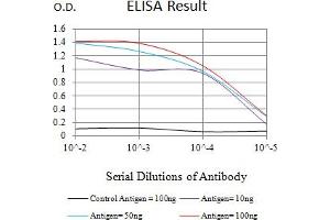 Black line: Control Antigen (100 ng),Purple line: Antigen (10 ng), Blue line: Antigen (50 ng), Red line:Antigen (100 ng) (RBBP7 antibody  (AA 1-200))