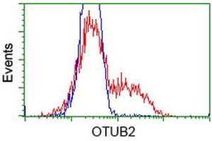 HEK293T cells transfected with either RC209650 overexpress plasmid (Red) or empty vector control plasmid (Blue) were immunostained by anti-OTUB2 antibody (ABIN2453407), and then analyzed by flow cytometry. (OTUB2 antibody)