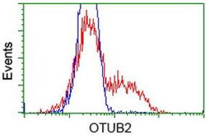 HEK293T cells transfected with either RC209650 overexpress plasmid (Red) or empty vector control plasmid (Blue) were immunostained by anti-OTUB2 antibody (ABIN2453407), and then analyzed by flow cytometry.