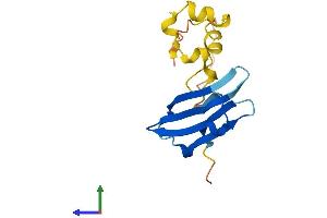 Protein Structure (PS) image for Heat Shock 27kDa Protein 3 (HSPB3) (AA 1-150) protein (His tag) (ABIN7548433)