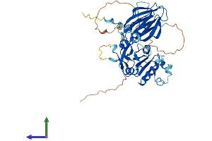 AlphaFold protein structure predicition of Human Recombinant NADK Protein, UniprotID O95544 (NADK Protein (AA 1-446) (His tag))