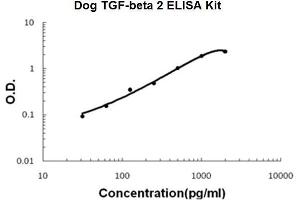Dog TGF-beta 2 PicoKine ELISA Kit standard curve