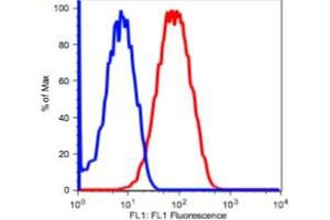 Flow Cytometry (FACS) image for anti-CD90 (THY1) antibody (FITC) (ABIN2704355) (CD90 antibody  (FITC))