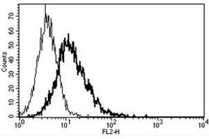 Flow Cytometry (FACS) image for anti-CD40 Ligand (CD40LG) antibody (PE) (ABIN1105909) (CD40 Ligand antibody  (PE))