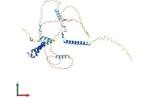 AlphaFold protein structure predicition of Mouse Recombinant Polr2m Protein, UniprotID Q6P6I6