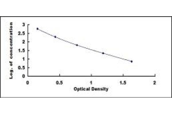 AP36 ELISA Kit