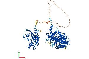 AlphaFold protein structure predicition of Human Recombinant ASMTL Protein, UniprotID O95671