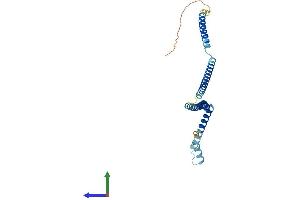 AlphaFold protein structure predicition of Human Recombinant CENPH Protein, UniprotID Q9H3R5 (CENPH Protein (AA 1-247) (His tag))