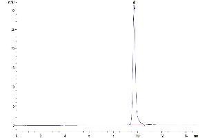 The purity of Human IL-1 alpha/IL-1A is greater than 95 % as determined by SEC-HPLC. (IL1A Protein (AA 113-271))