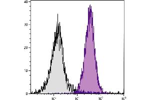 AKR mouse splenocytes were stained with Mouse Anti-Mouse H-2Kk-PE. (H-2Kk antibody  (Biotin))