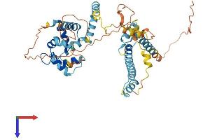 AlphaFold protein structure predicition of Human Recombinant EFCAB3 Protein, UniprotID Q8N7B9