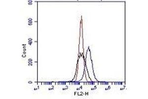 Flow Cytometry (FACS) image for anti-Integrin alpha V (ITGAV) antibody (FITC) (ABIN1106450) (CD51 antibody  (FITC))