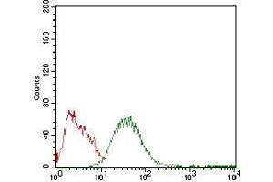 Flow cytometric analysis of HepG2 cells using PLIN2 mouse mAb (green) and negative control (red). (ADRP antibody  (AA 286-437))