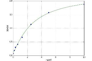 A typical standard curve (AKR1B1 ELISA Kit)