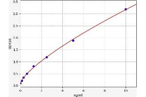 POFUT1 ELISA Kit